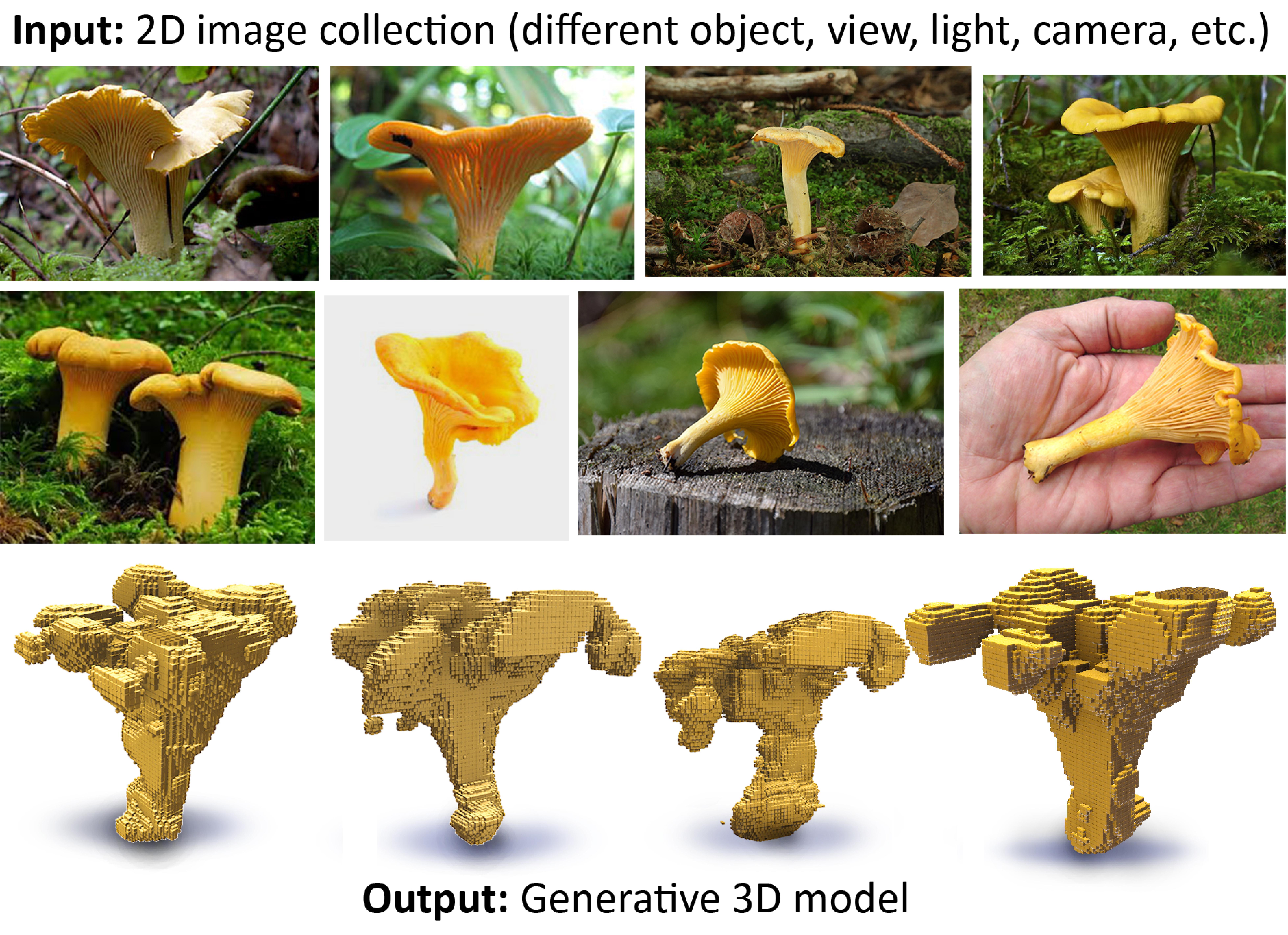 Escaping Plato's Cave: 3D Shape From Adversarial Rendering