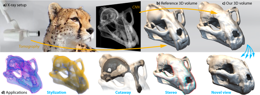 Single-Image Tomography: 3D Volumes from 2D Cranial X-Rays